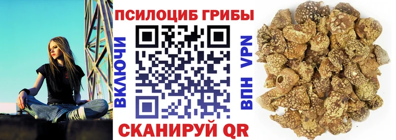 кракен ТОР  Нижние Серги  Галлюциногенные грибы ЛСД  цены  
